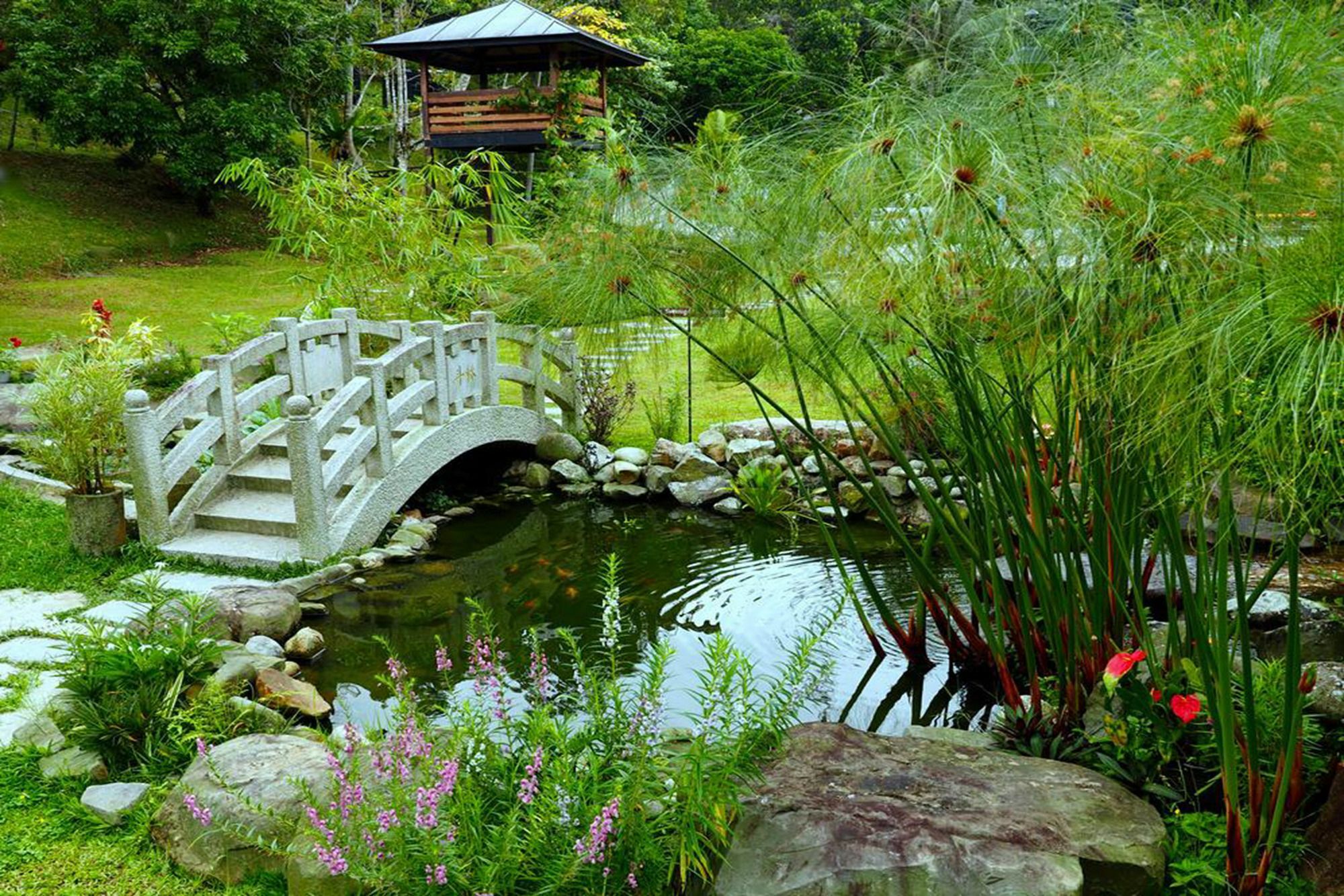 Tempat peranginan Kokol Haven 3*
